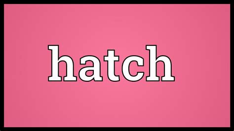 hatch 뜻: 부화의 의미와 창의적 사고의 연결