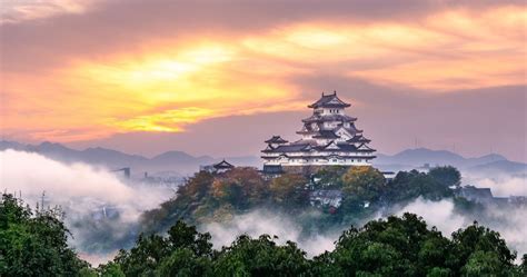 ウェザーニュース 秦野、今日の空はなぜかピンク色に染まっている