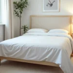 Jak pozbyć się pluskiew? Skuteczne metody i porady