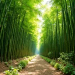 Jak szybko rośnie bambus? Fakty i porady dotyczące pielęgnacji